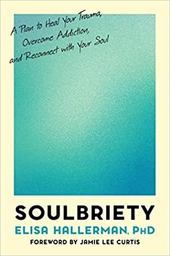 soulbriety book