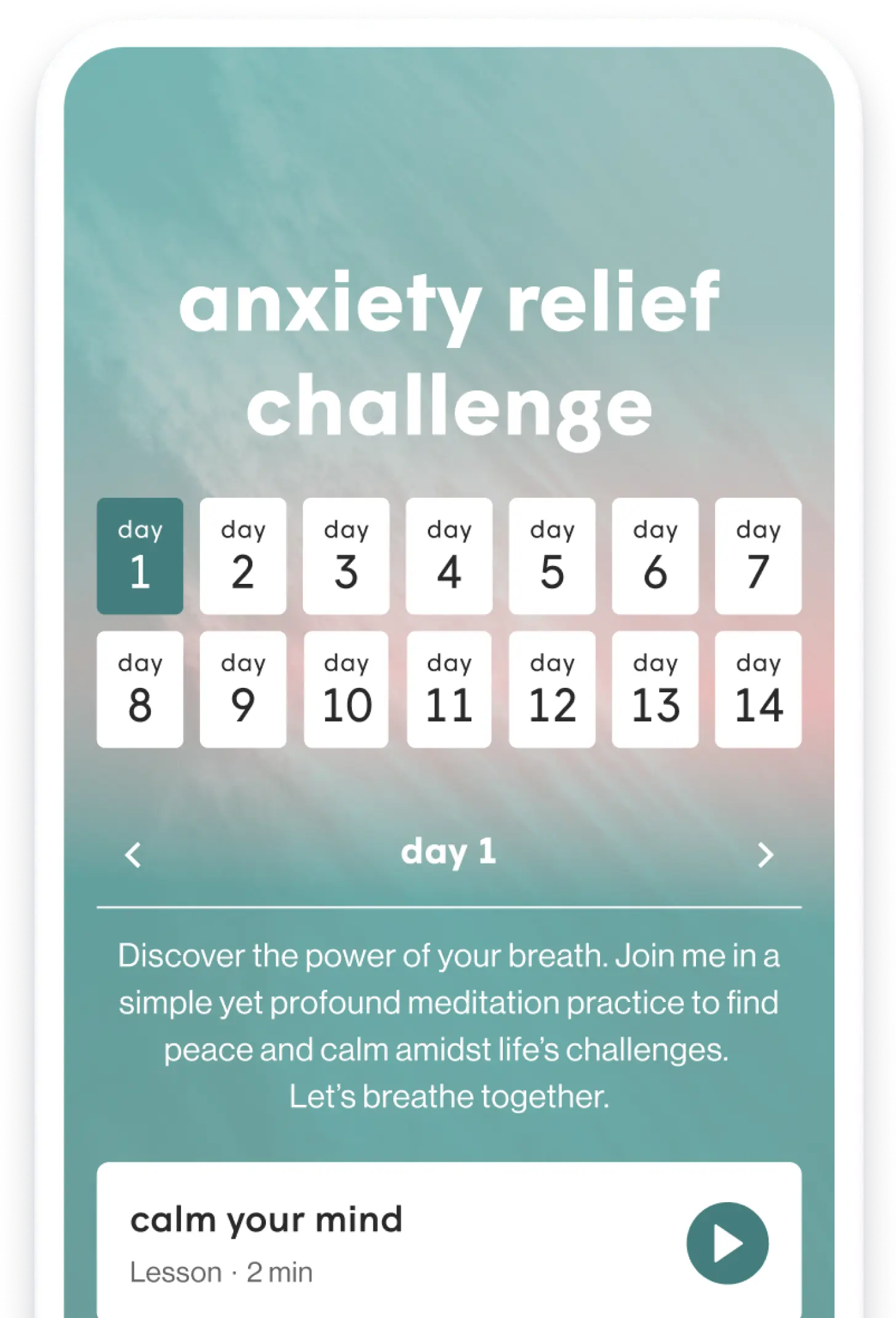 Anxiety Relief Challenge